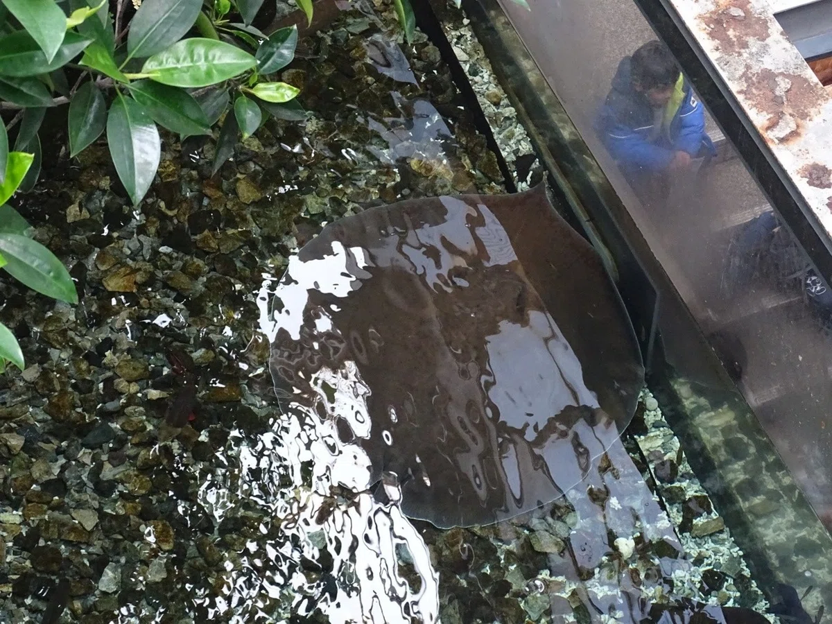 画像14