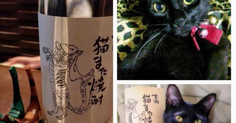 猫また焼酎と黒猫と 幼馴染barで 深夜書店 いに 仁 T Note