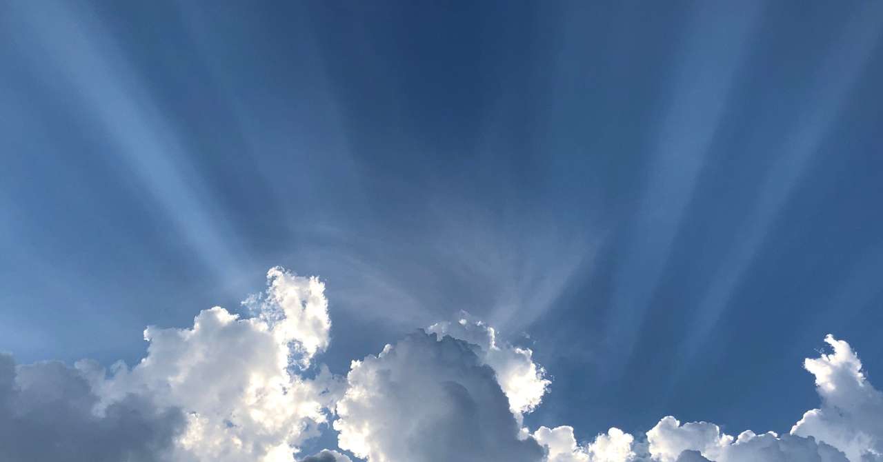 肉割れクリームで体験した失敗と成功 代で太った私の肉割れ線に適切な選び方 鈴木美香 Note