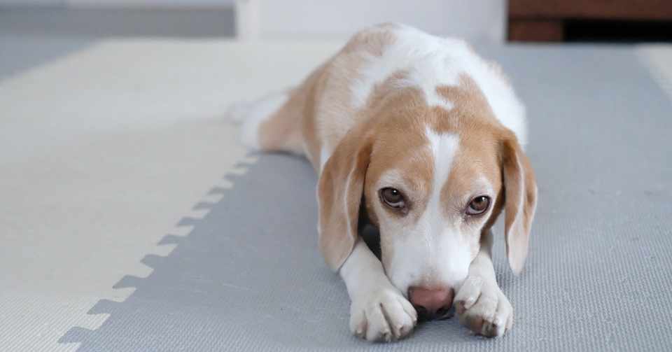 ちゃんと休もうね みんな 古賀史健 Note