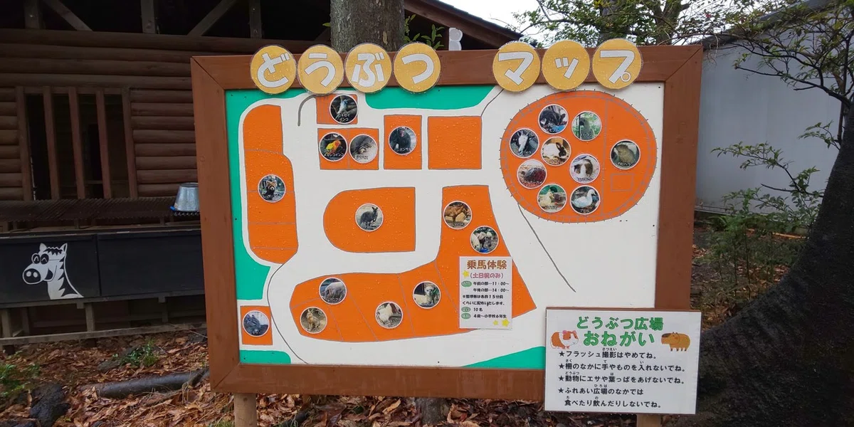 画像1