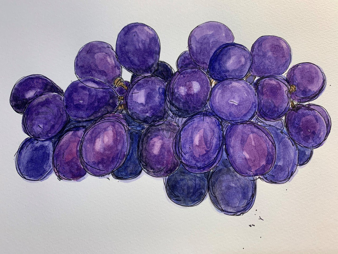 ブドウの描き方｜chokottto美術部