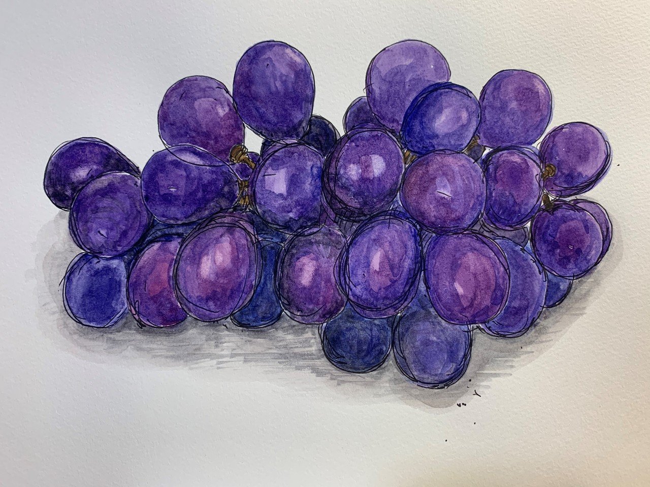 ブドウの描き方｜chokottto美術部
