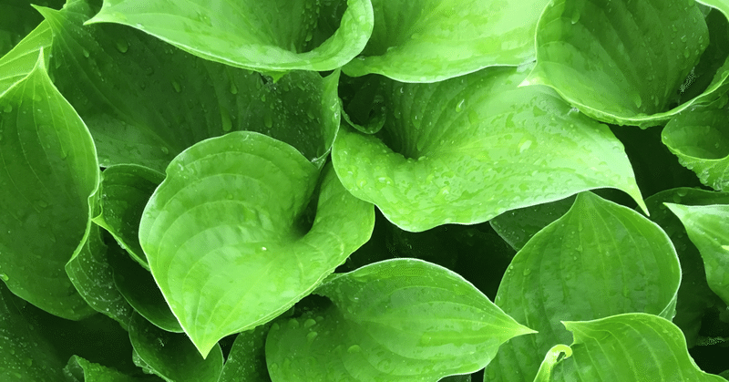 職場でどーしても嫌いな人がいるとき チロル note