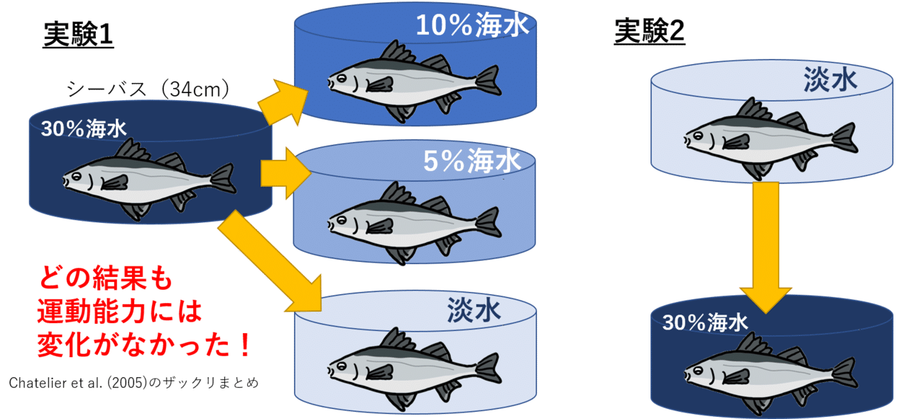 川と海でシーバスの 引きの強さ は変わるのか Nipon Hitode Note 川と海でシーバスの 引きの強さ は変わるのか Nipon Hitode Note