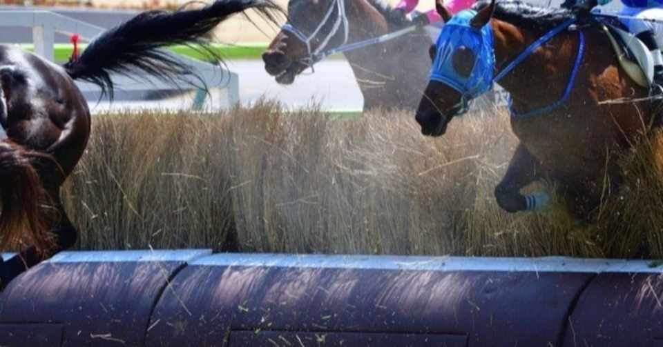8 29 土 小倉サマージャンプ 人工知能aiによる競馬予想 Ai競馬予想のアップグレード Note