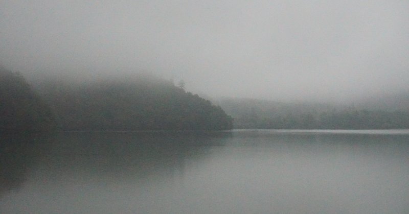 博士号は得た さて次はどうしよう ノルテ Note