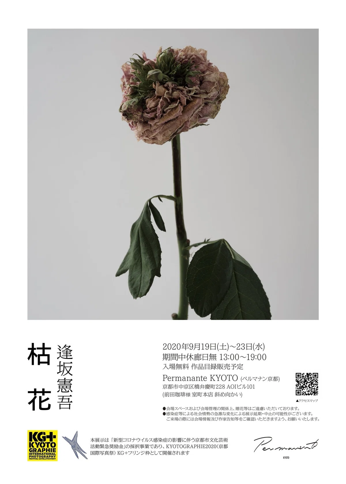 京都にて個展「枯花」を開催します｜Kengo_OSAKA 逢坂 憲吾