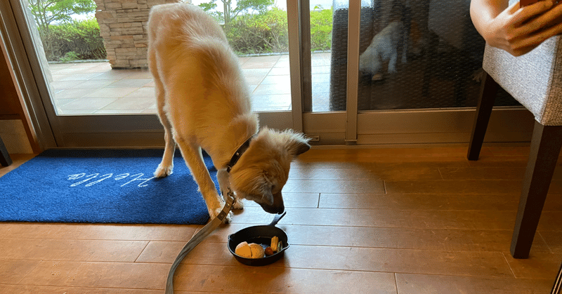 これもダメなの 犬にng食材一覧表 ドッグライフサポーター 獅子パパ Note