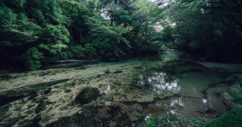 写真日記：息を呑む美しい川