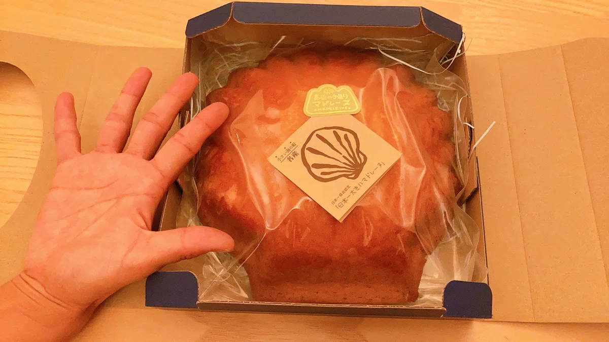 Koumi The 'Koumi no Tamatebako' madeleine, made with Japan's largest shell ...