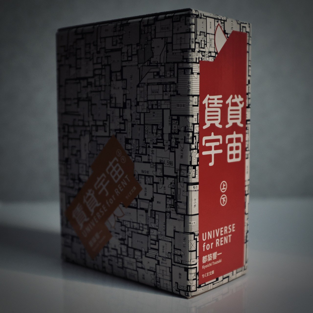 書評】 21世紀初頭を生きた大したことのない人たちの民族誌 『賃貸宇宙