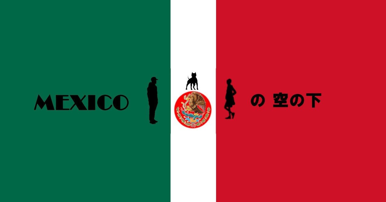メキシコのスペイン語事情 2 メキシカンスパニッシュ Rosa Tinta Note