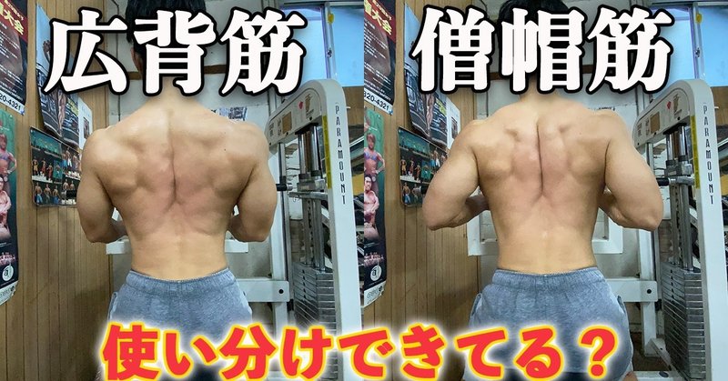 広背筋 シーテッド ローの効率的なやり方 使い分け方を徹底解説 僧帽筋 せいや アラサー筋トレチャンネル Note 広背筋 シーテッド ローの効率的なやり方 使い分け方を徹底解説 僧帽筋 せいや アラサー筋トレチャンネル Note