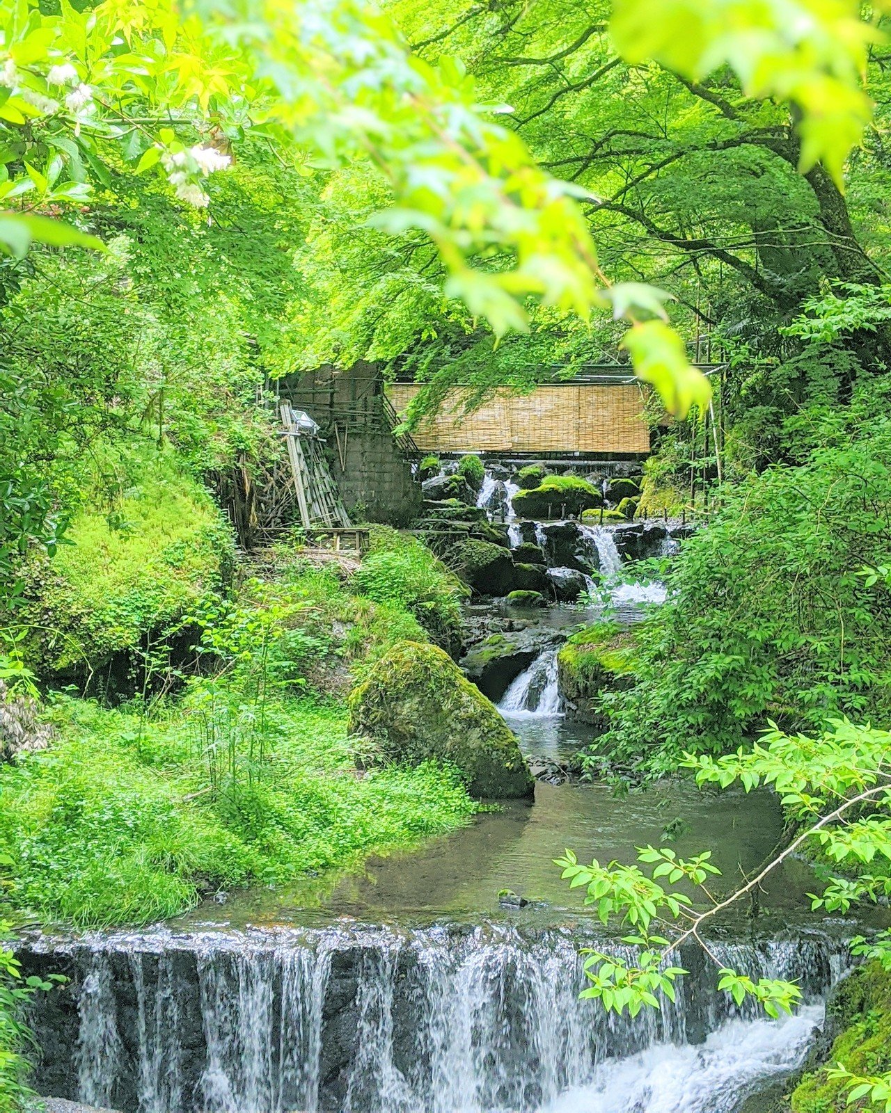 京都観光 貴船への旅 京都最大級のマイナスイオンスポット 水神様に守られた癒やしの旅スポット 旅習慣 京都旅てくてく 相互フォロー100 Note