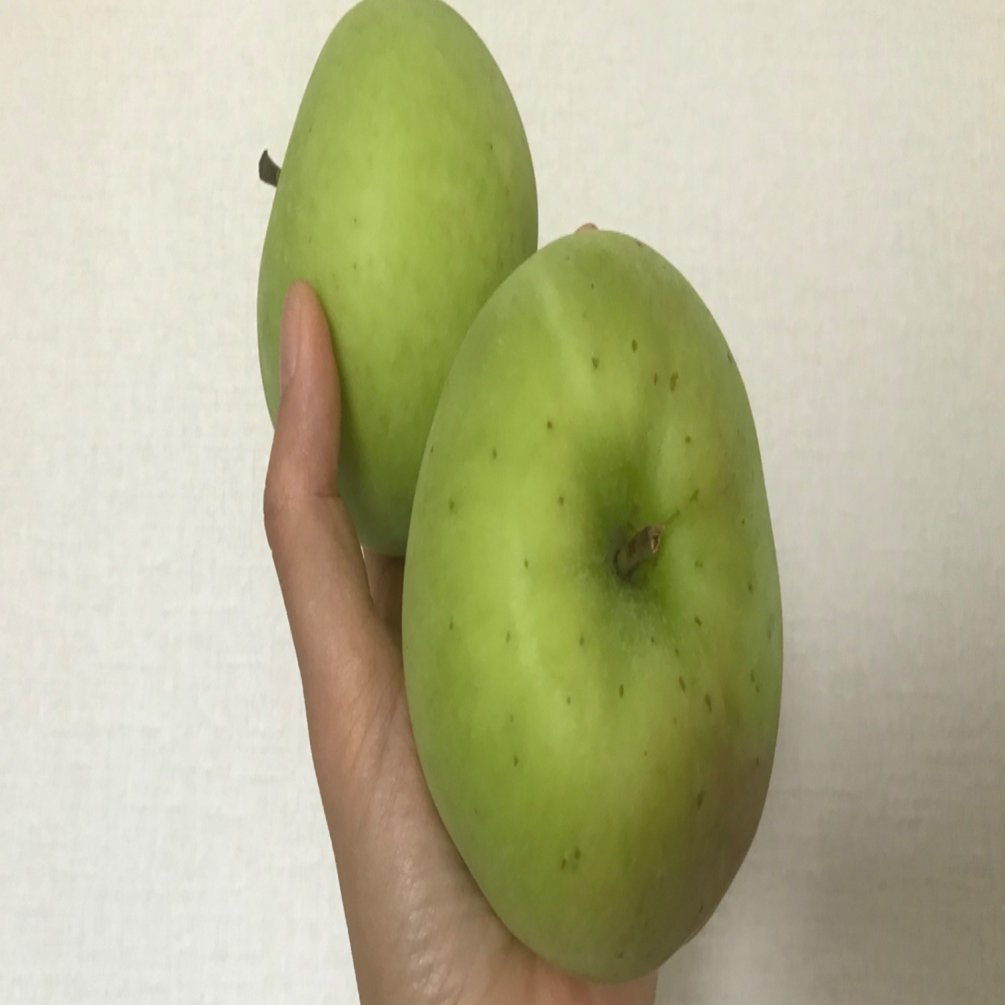 りんご「夏緑」を食べてみました｜永井温子