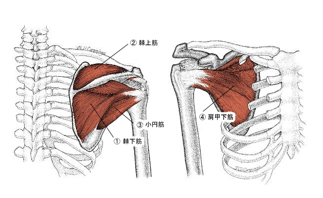 画像1