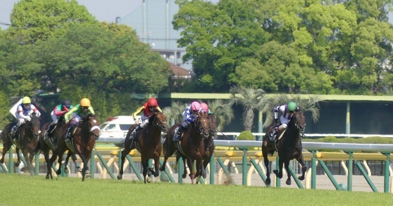 8/29(土) 障害レースで大儲け！小倉8R小倉サマージャンプ  （J・GⅢ）【自信度S 】