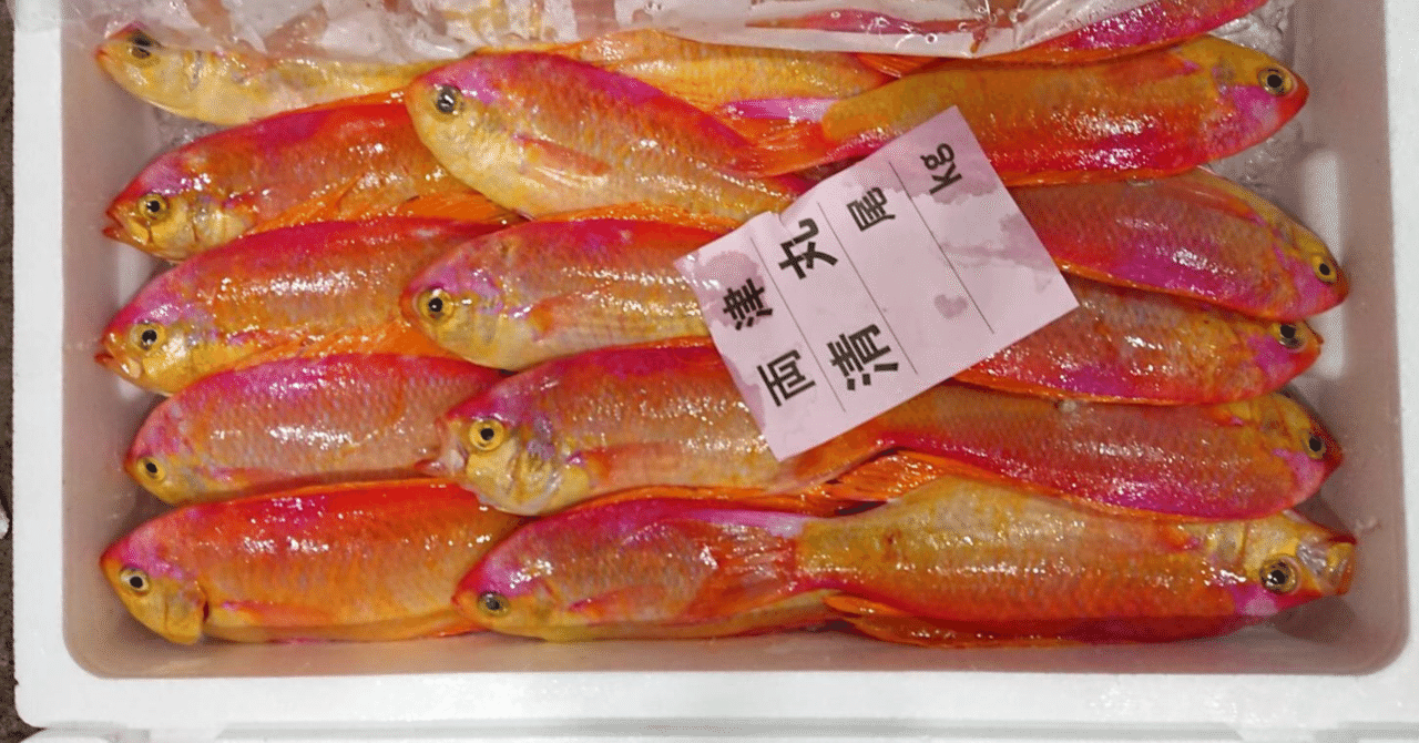 新潟 佐渡沖のシキシマハナダイ 魚が来る 明日 新潟から 鮮魚通販 Note 新潟 佐渡沖のシキシマハナダイ 魚が来る 明日 新潟から 鮮魚通販 Note