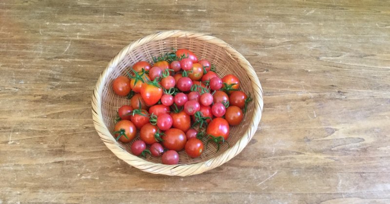 庭と畑の記録 16 ストリベリー ミニトマト