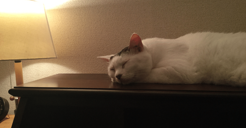 保護猫のいる本屋さん 保護猫カフェ 白猫コタロウ 桜猫ミミ コタミミ Note