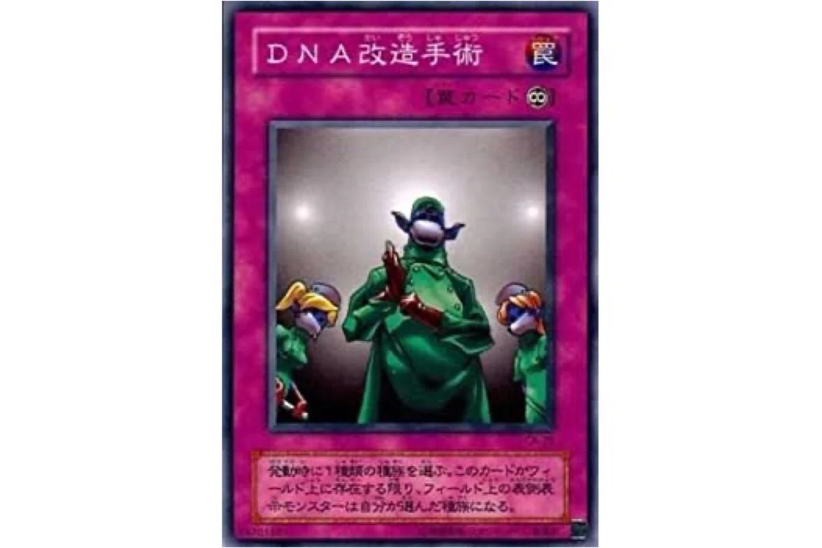 小学生から集めていた遊戯王カードをお譲りします！ 小中学生のときに遊戯王でされた理不尽な行動12選｜さめブログ