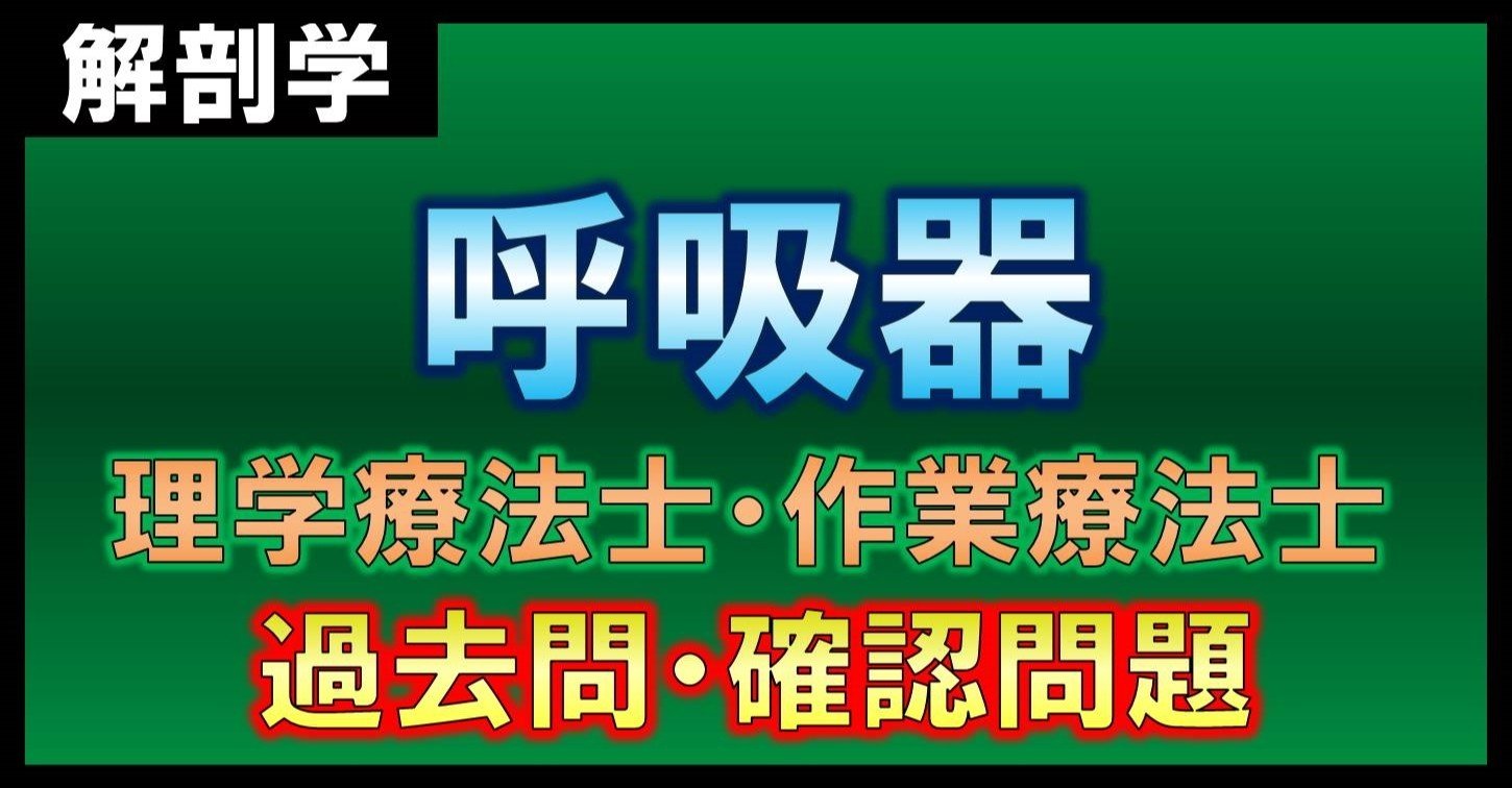 解剖学 呼吸器 確認問題 理学療法士 作業療法士 理学療法士作業療法士 国家試験攻略note 西島紘平 Note 解剖学 呼吸器 確認問題 理学療法士 作業療法士 理学療法士作業療法士 国家試験攻略note 西島紘平 Note