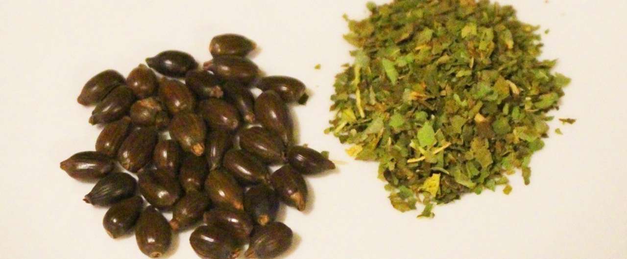 茶葉