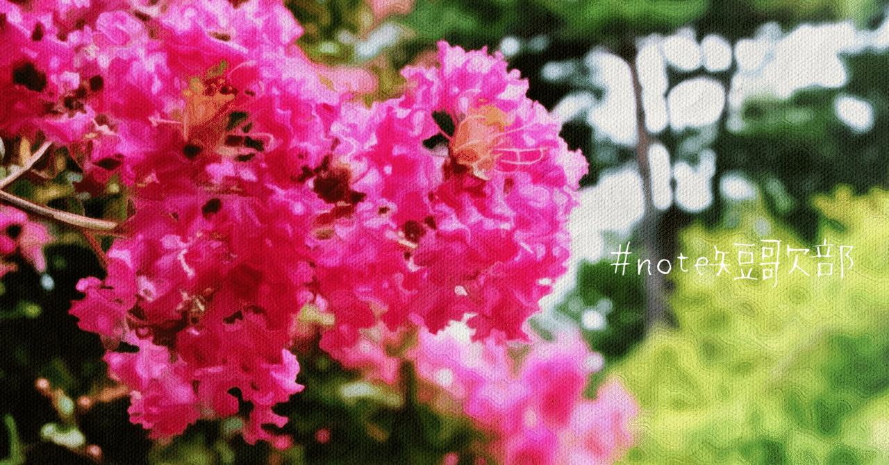 短歌 8月29日 誕生花は百日紅 Note短歌部 御子柴 流歌 Note 短歌 8月29日 誕生花は百日紅 Note短歌部 御子柴 流歌 Note