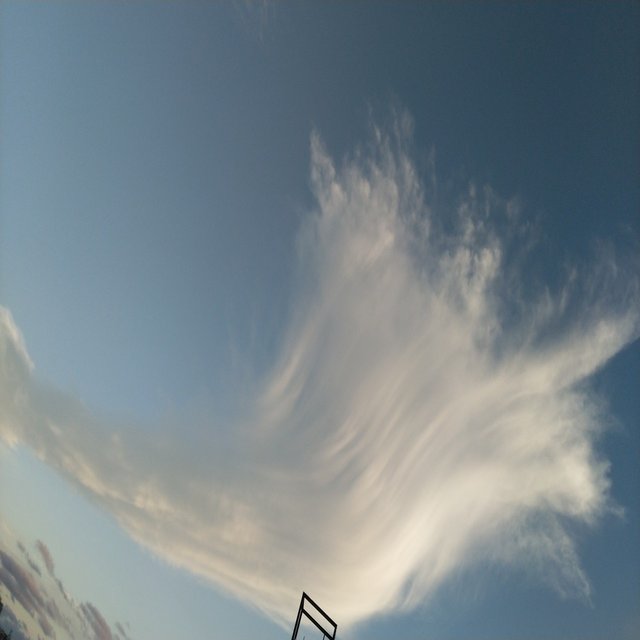 巻雲と月 辛島信芳 Laravel書き Note