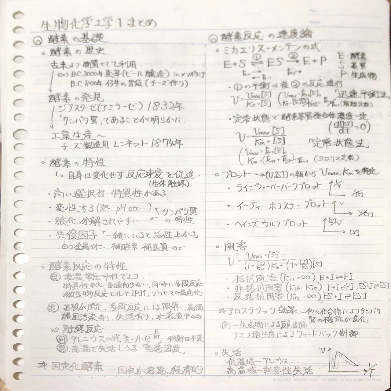 【超希少】生物化学工学 反応速度論 生物化学工学1（酵素、反応器基礎式）｜化学学生のノート