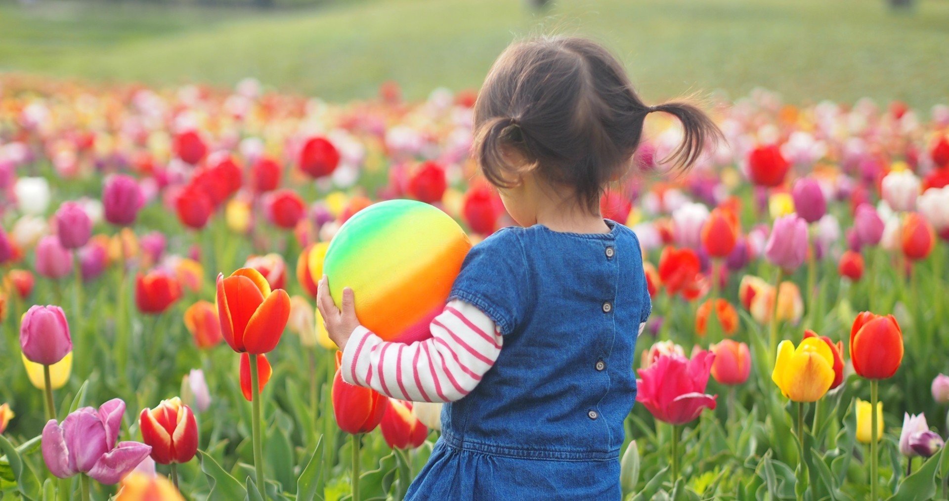 インナーチャイルドとの出会い ちびねこ Note