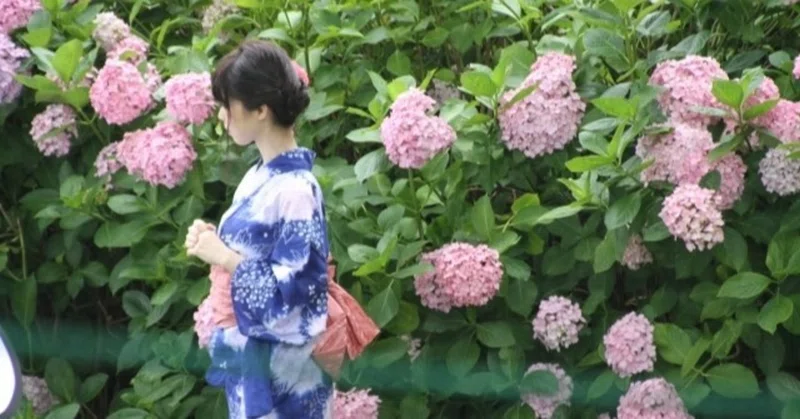 真夏の妄想シチュエーション 5 文化祭で気になるあの子と 胸キュン 身長差男女の学祭マジック 大西隆貴 オオニシタカキ Note