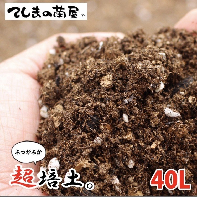 ベランダ菜園 水菜1 ミゾ畑 Note ベランダ菜園 水菜1 ミゾ畑 Note