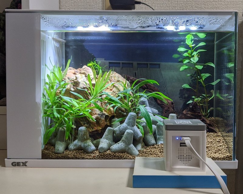 水槽立ち上げ ５ 水草対策 町田 奈桜 Nao Machida Note