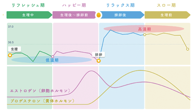 レディースdayとダイエットの関係 枝 Note