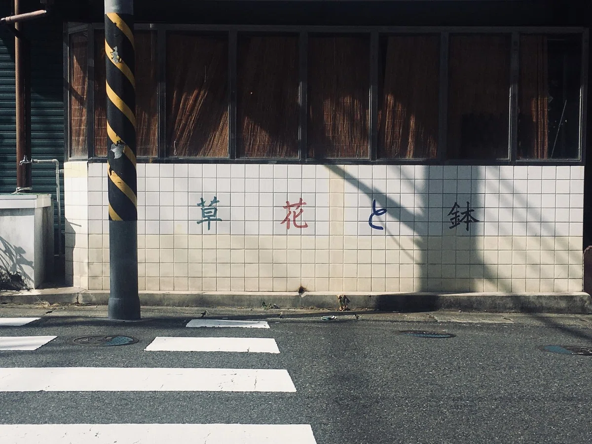 画像9