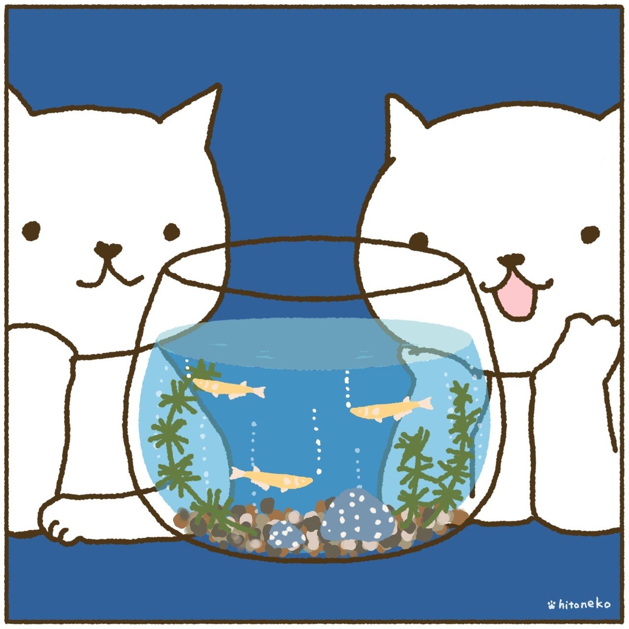 まちがいさがし118 メダカを飼う Aikawa Keiko Note まちがいさがし118 メダカを飼う Aikawa Keiko Note