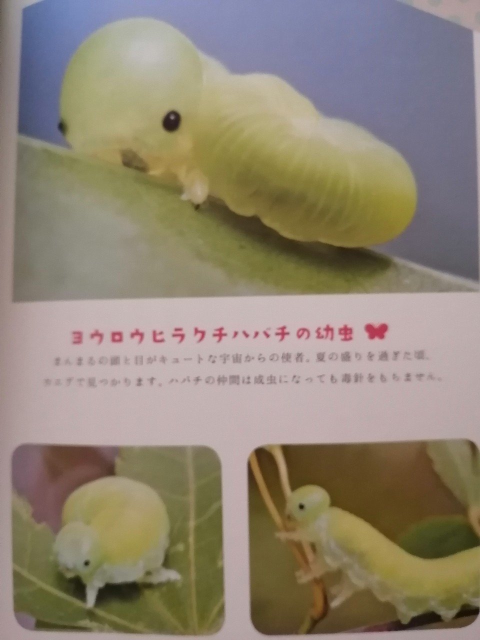 癒やしの虫たち 福じぞう Note