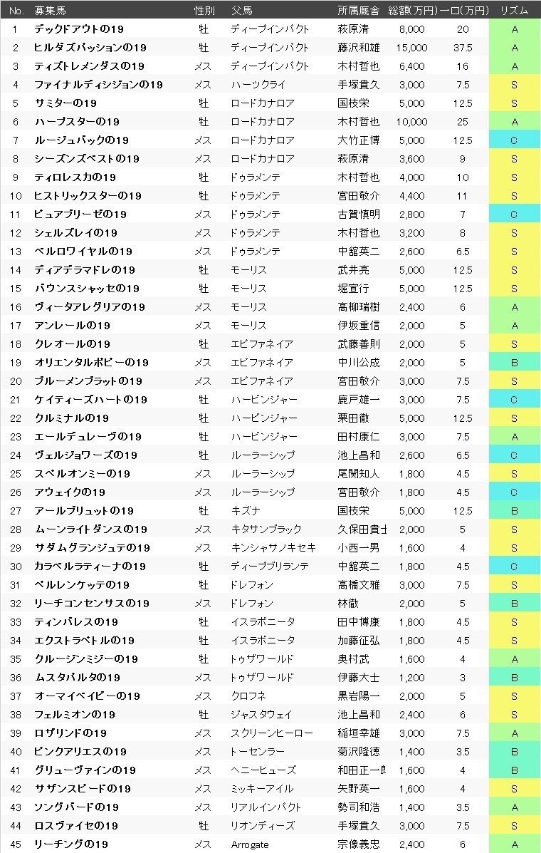 キャロットクラブ 年度募集 リズム診断 19年産 Echoloの 馬 述 部 Note