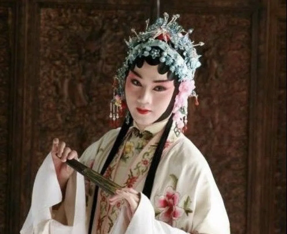 中国映画鑑賞記 「花の生涯ー梅蘭芳」と、「さらば、我が愛 覇王別姫