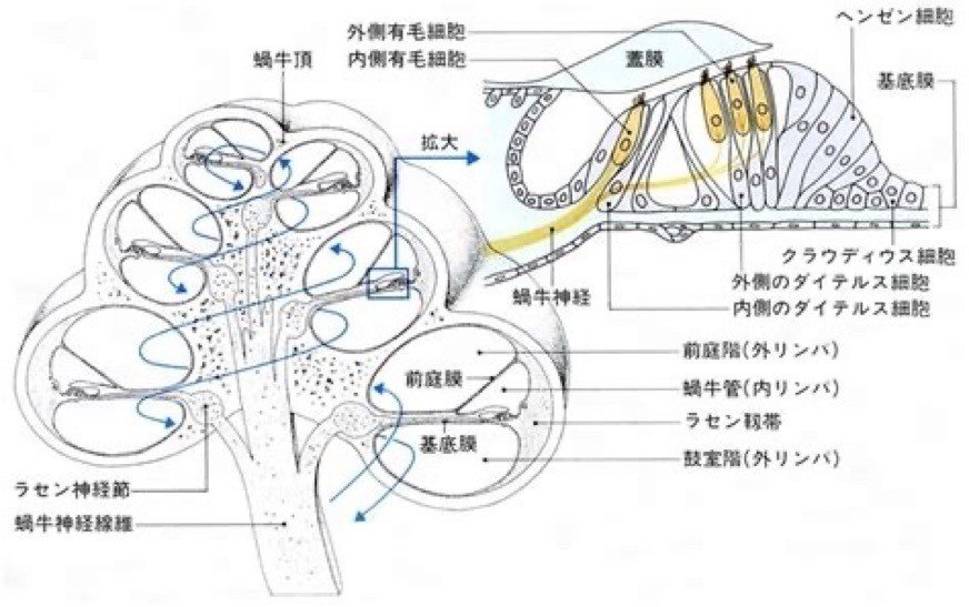 画像9