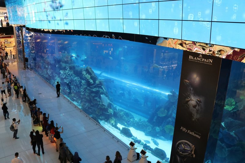 Around The World ドバイ水族館 水中動物園 ドバイアクアリウム アンダーウォーター ズー Dubai Aquarium Underwater Zoo 鳴海邦彦 公式 Kunihiko Narumi Official Note