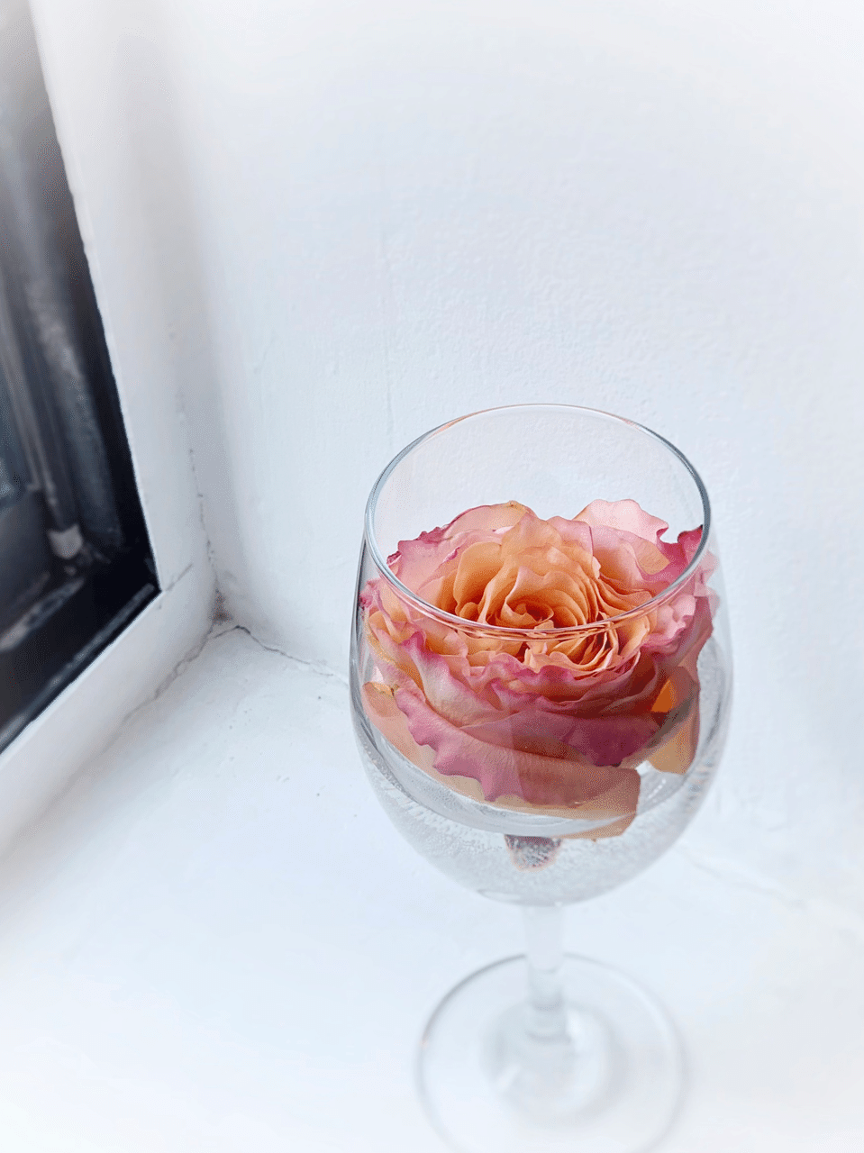 Nyの休日 21 特別な日にも 誰かの一日を明るくしたい時にも訪れたいお花屋さん Mana まな Note