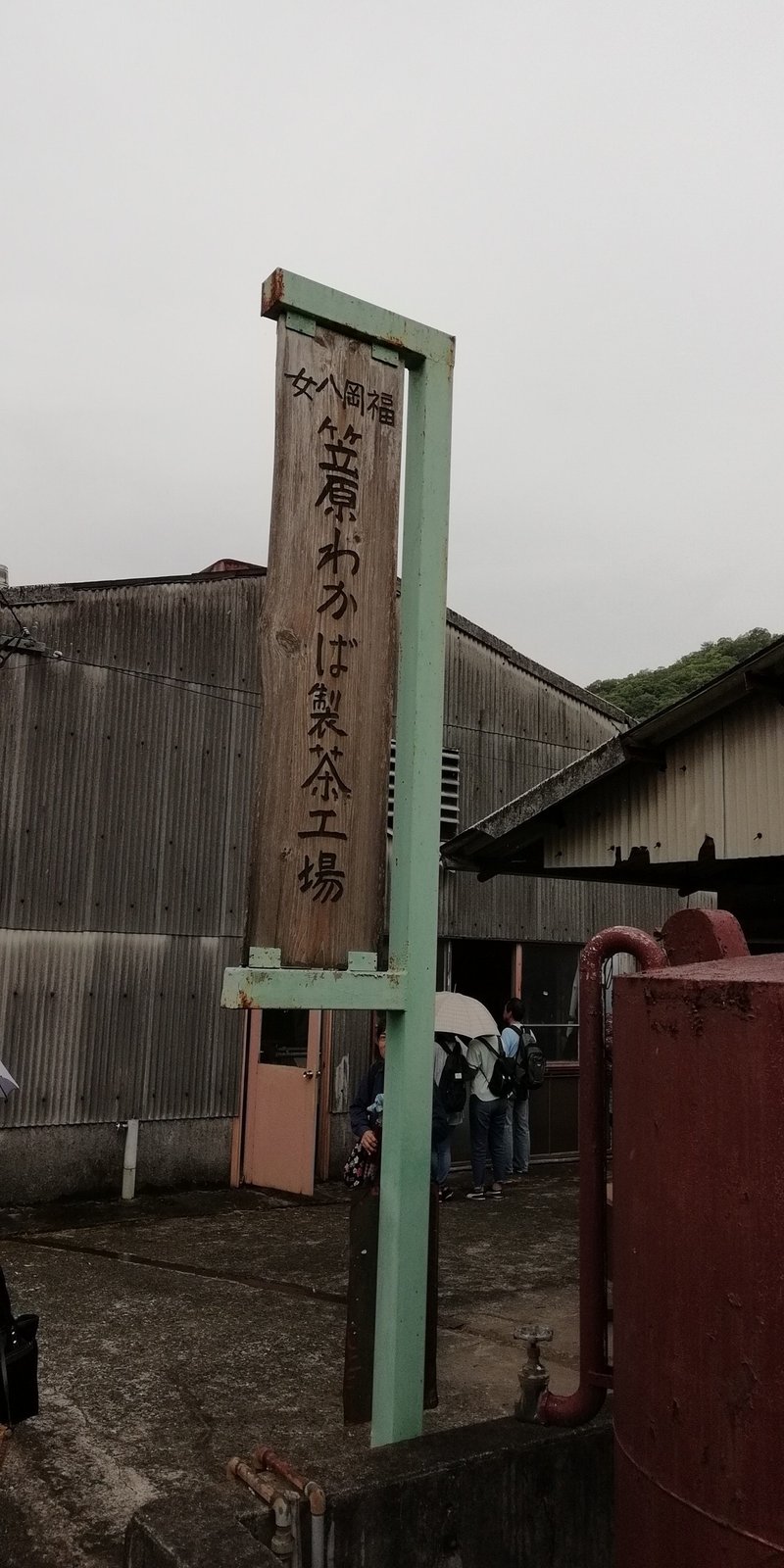 月イチ九州 17 福岡県八女 八女茶の茶摘みを体験する 生茶葉で自家製茶 まゆみトラベルラボ Note