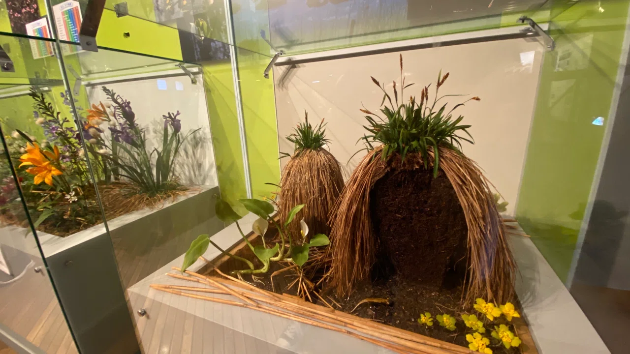 鶴雅で北海道 建物の外も中も楽しい 釧路市湿原展望台 鶴雅リゾートデジタルコンシェルジュ Note 鶴雅で北海道 建物の外も中も楽しい 釧路市湿原展望台 鶴雅リゾートデジタルコンシェルジュ Note