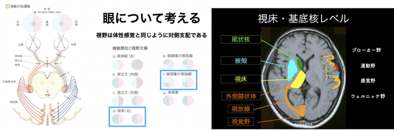 スクリーンショット 2020-08-30 16.53.30