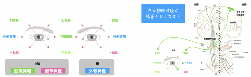 スクリーンショット 2020-08-30 16.54.45