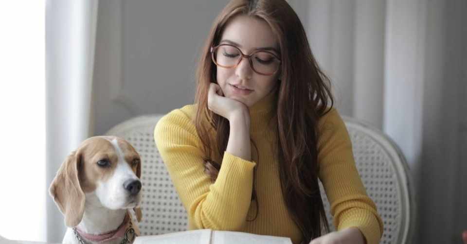 増加 減少を表す単語 Rae 英語小ネタ Note