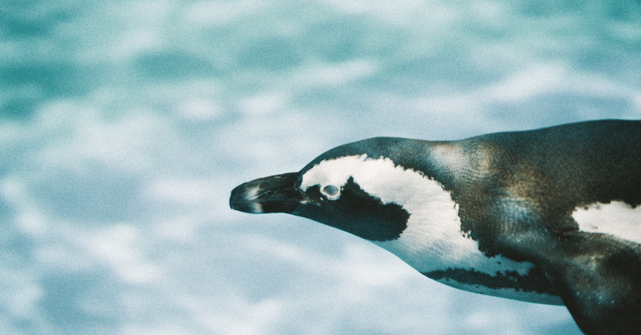 空飛ぶペンギン Uniii Note 空飛ぶペンギン Uniii Note